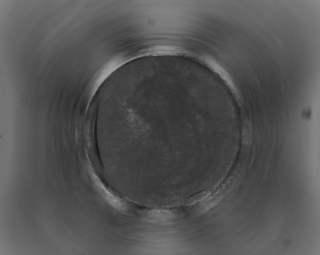 X0000090441473200708031142