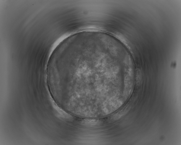 X0000090441474200708031142