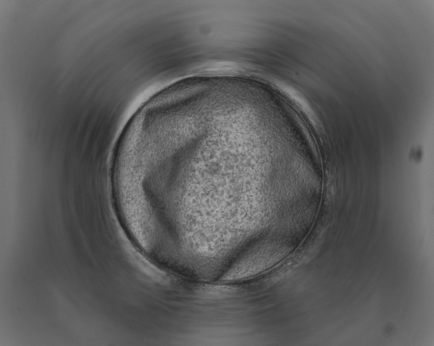 X0000090441475200708031142