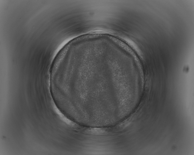 X0000090441476200708031142