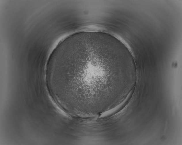 X0000090441477200708031142