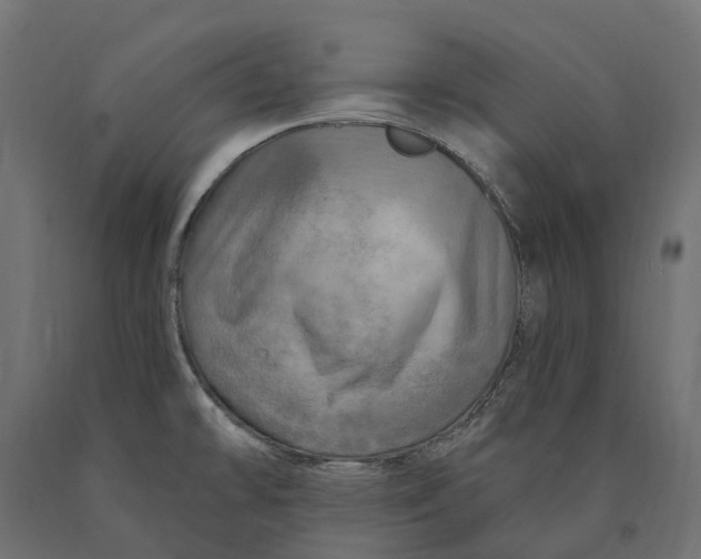 X0000090441478200708031142