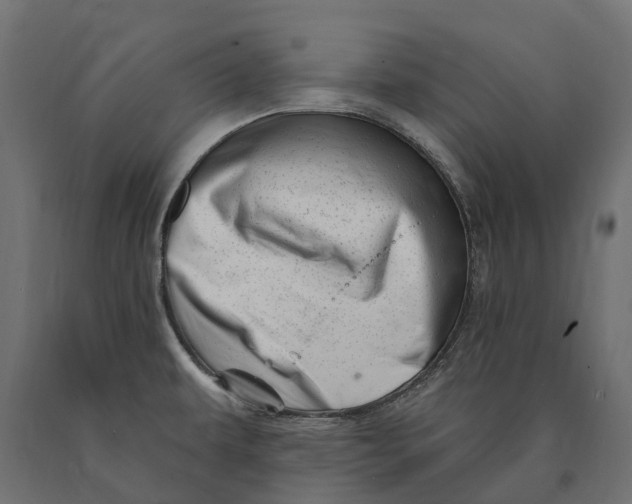 X0000090441479200708031142