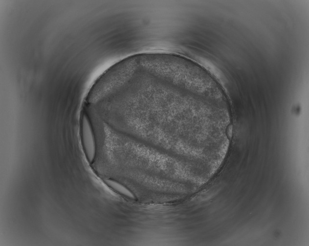 X0000090441480200708031142