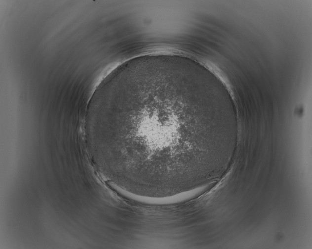 X0000090441481200708031142