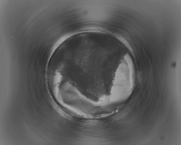 X0000090441482200708031142