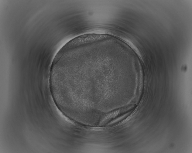 X0000090441484200708031142