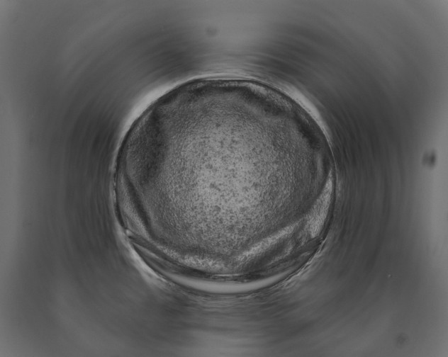 X0000090441485200708031142