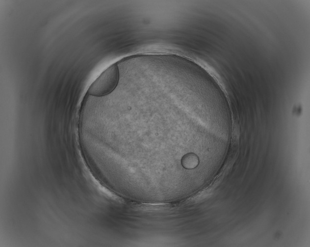 X0000090441486200708031141