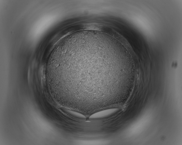 X0000090441487200708031141