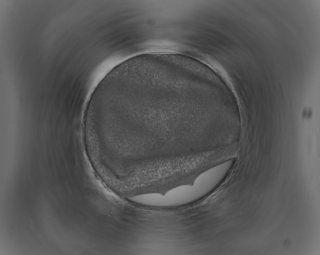 X0000090441488200708031141