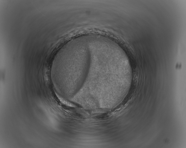 X0000090441490200708031141