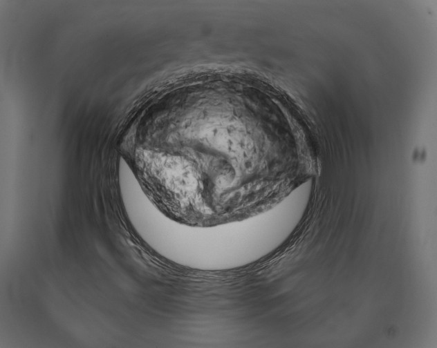 X0000090441492200708031141