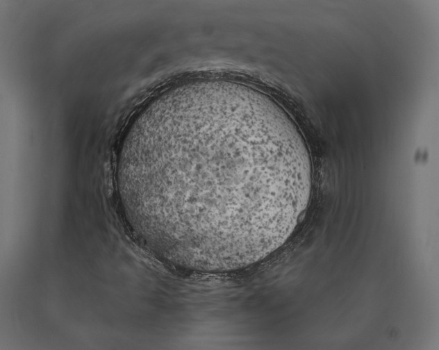 X0000090441493200708031141