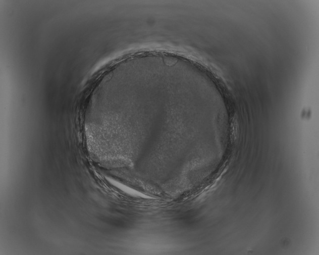 X0000090441494200708031141