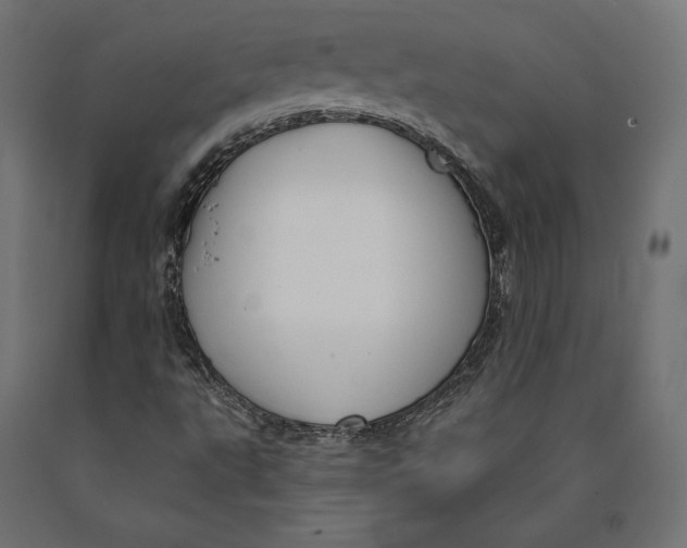 X0000090441495200708031141