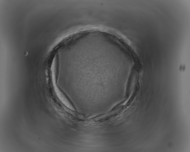 X0000090441496200708031141