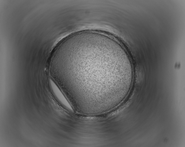 X0000090441497200708031141