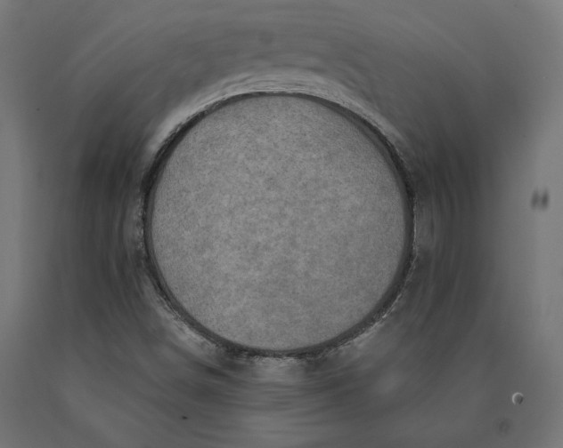 X0000090441498200708031141