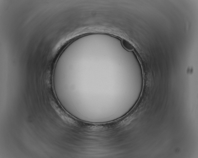 X0000090441499200708031141