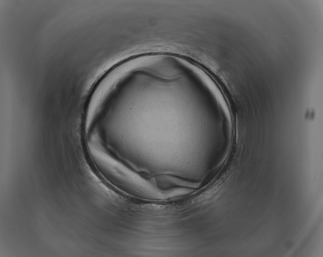 X0000090441500200708031141