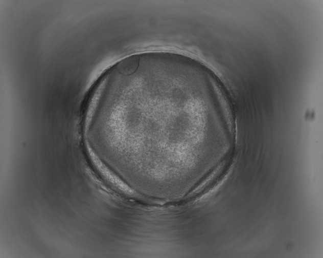 X0000090441501200708031141