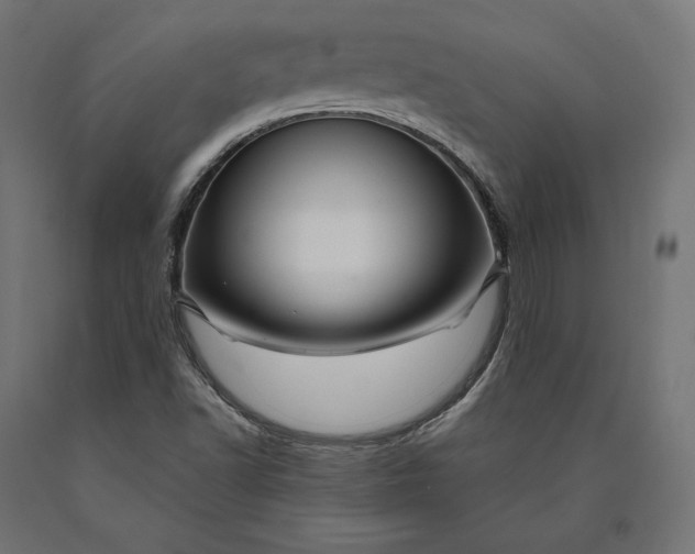 X0000090441502200708031141