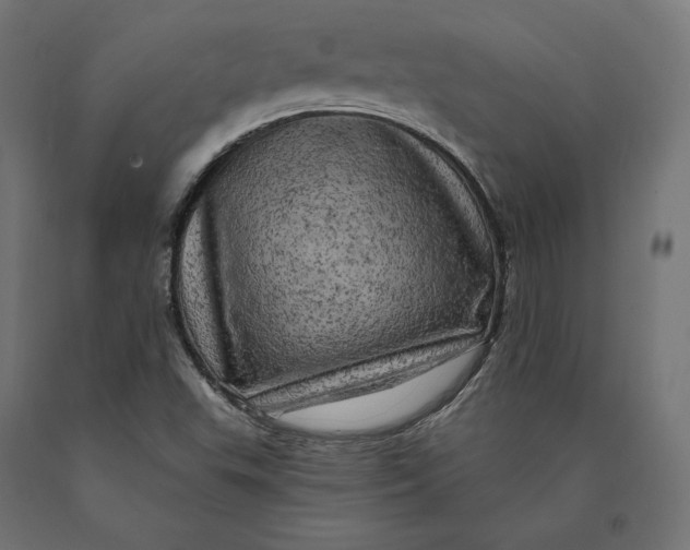 X0000090441503200708031141