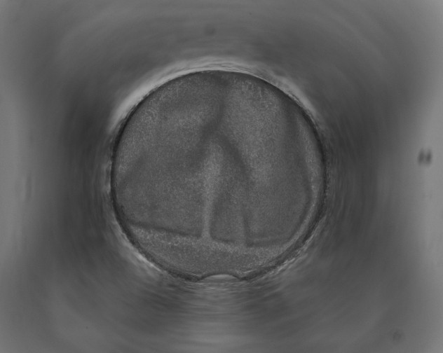 X0000090441504200708031141