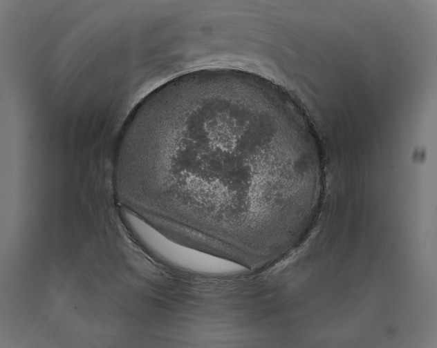 X0000090441505200708031141