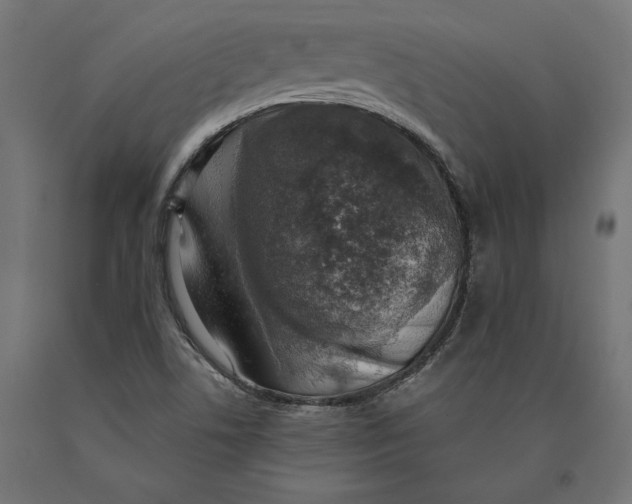 X0000090441506200708031141