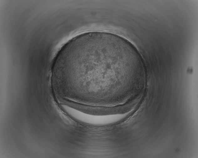 X0000090441507200708031141