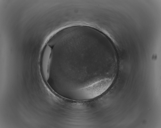 X0000090441508200708031141