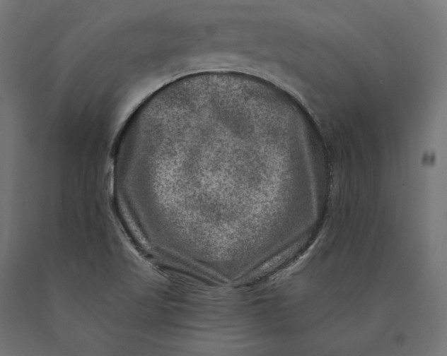 X0000090441509200708031141