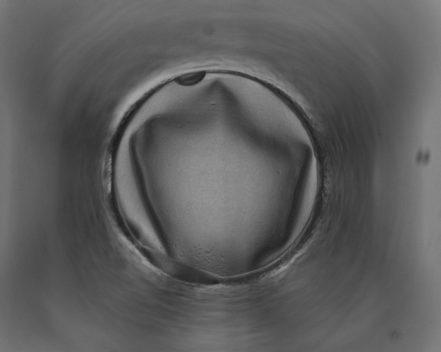 X0000090441510200708031141