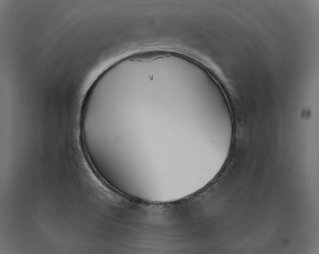 X0000090441512200708031141