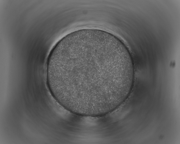 X0000090441514200708031141