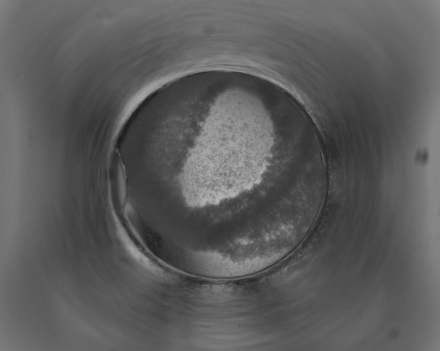 X0000090441515200708031141