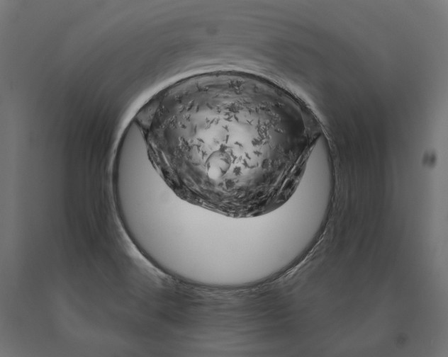 X0000090441516200708031141