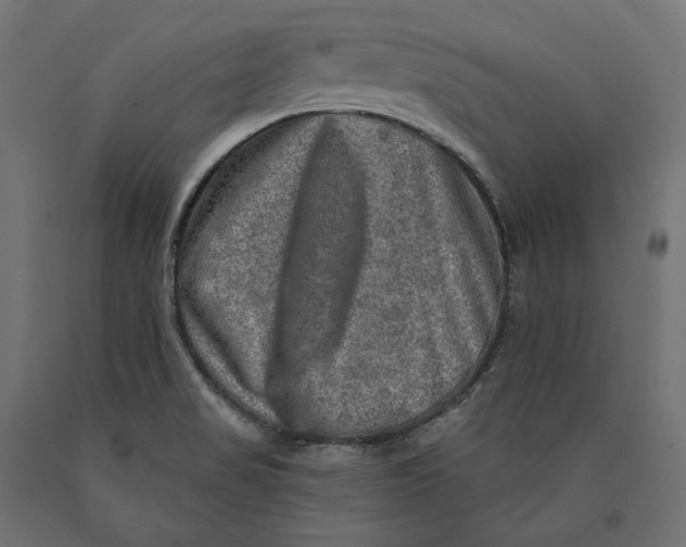 X0000090441517200708031141