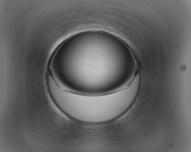 X0000090441518200708031141