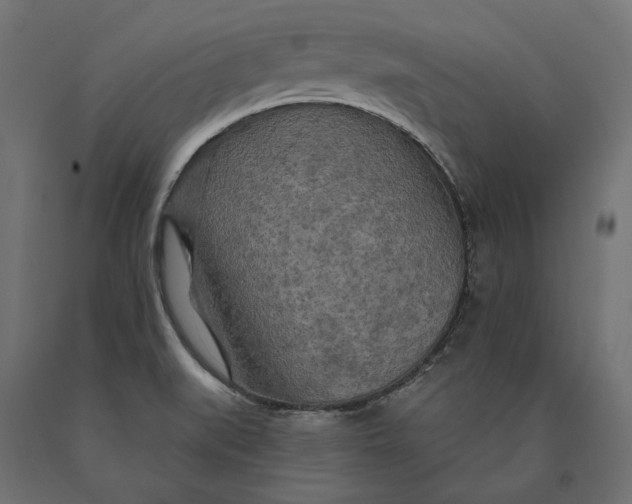 X0000090441519200708031141