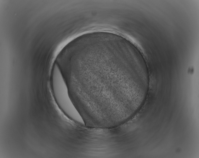 X0000090441520200708031141