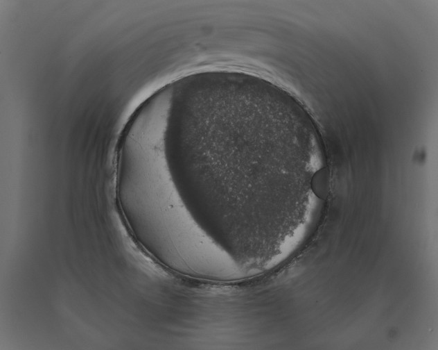 X0000090441522200708031141