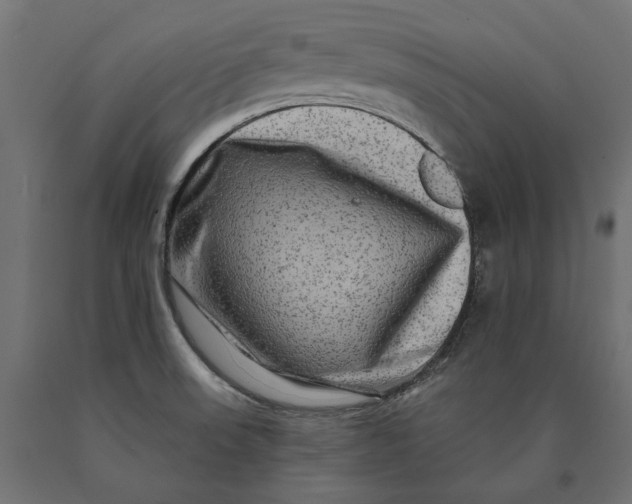 X0000090441523200708031141