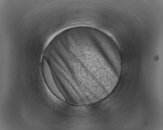 X0000090441524200708031141