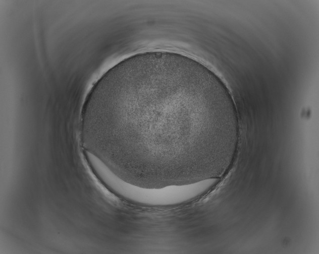 X0000090441525200708031141