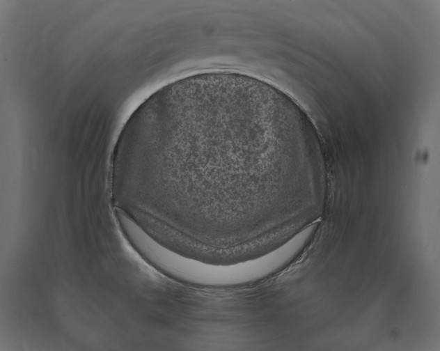 X0000090441527200708031141