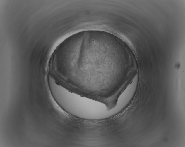 X0000090441528200708031141