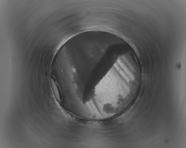 X0000090441529200708031141